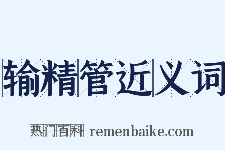输精管近义词是什么意思的图片
